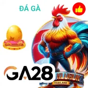 cgwin Bắn Cá
